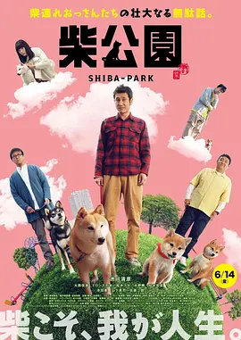 1080HD手机在线观看