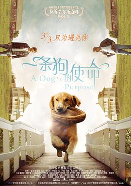 全集在线观看