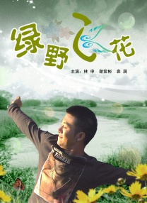 HD国语中字