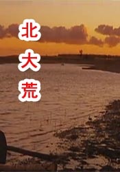 蓝光原盘在线观看